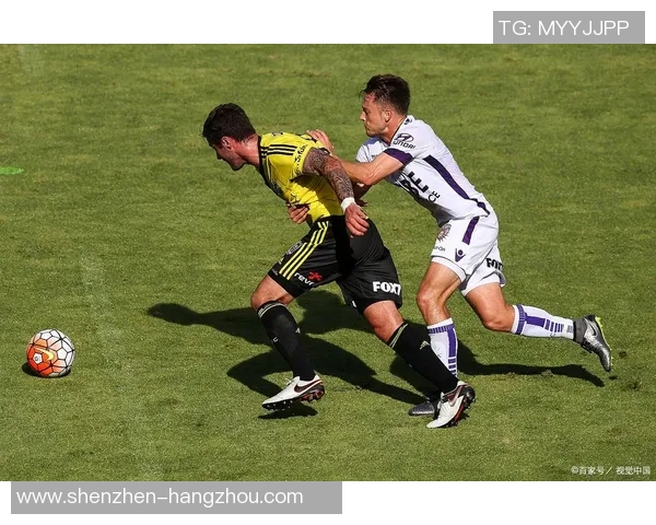 慧灵顿凤凰迎战布里斯班狮吼精彩对决展现足球魅力与激情